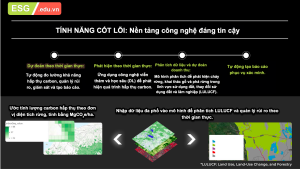 Công Nghệ MRV Bằng Vệ Tinh Cho Các Dự Án Tín Chỉ Carbon Rừng